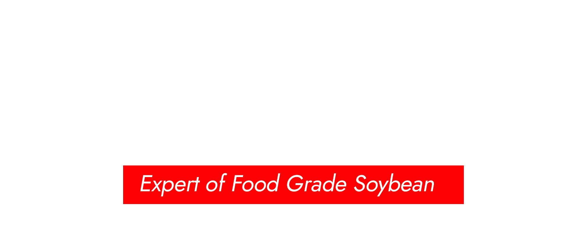 SOYTOUCH USA